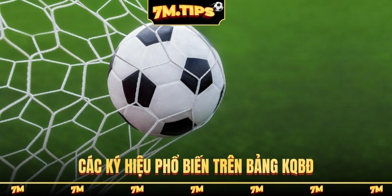 Các ký hiệu phổ biến trên bảng KQBĐ