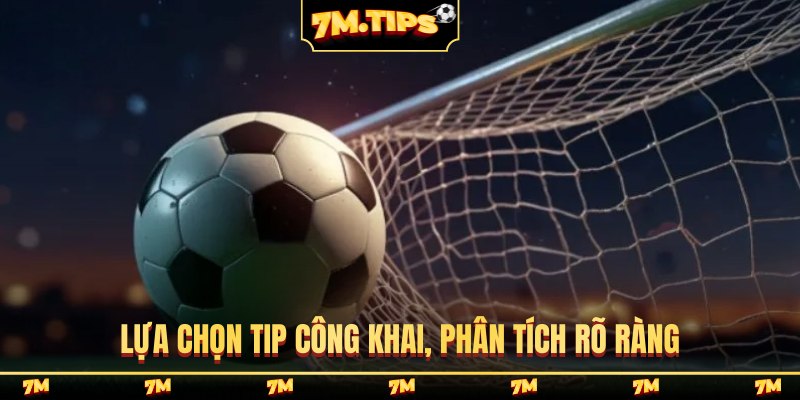 Lựa chọn tip công khai, phân tích rõ ràng